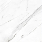 AGL Carrara 24x24 Matte Marble Look Porcelain Tile