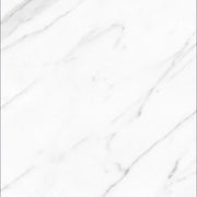 AGL Carrara 24x24 Matte Marble Look Porcelain Tile