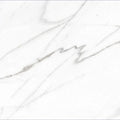 AGL Carrara 24x24 Matte Marble Look Porcelain Tile