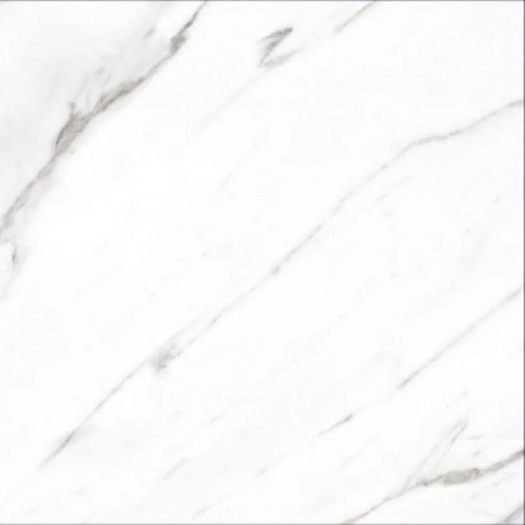 AGL Carrara 24x24 Matte Marble Look Porcelain Tile