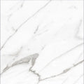 AGL Carrara 24x24 Polished Marble Look Porcelain Tile