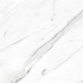 AGL Carrara 24x24 Polished Marble Look Porcelain Tile
