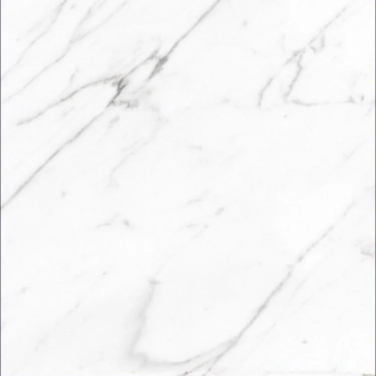 AGL Carrara 24x24 Polished Marble Look Porcelain Tile