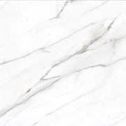 AGL Carrara 24x24 Matte Marble Look Porcelain Tile