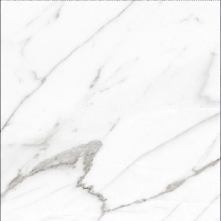 AGL Carrara 24x24 Matte Marble Look Porcelain Tile