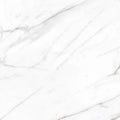 AGL Carrara 24x24 Matte Marble Look Porcelain Tile