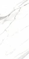 AGL Carrara 24x48 Matte Marble Look Porcelain Tile