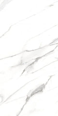 AGL Carrara 24x48 Matte Marble Look Porcelain Tile