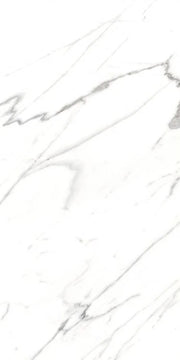 AGL Carrara 24x48 Matte Marble Look Porcelain Tile