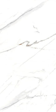 AGL Carrara 24x48 Matte Marble Look Porcelain Tile
