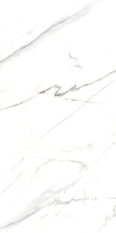 AGL Carrara 24x48 Matte Marble Look Porcelain Tile