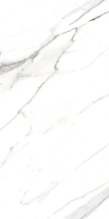 AGL Carrara 24x48 Matte Marble Look Porcelain Tile