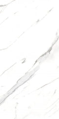AGL Carrara 24x48 Matte Marble Look Porcelain Tile