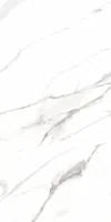 AGL Carrara 24x48 Matte Marble Look Porcelain Tile