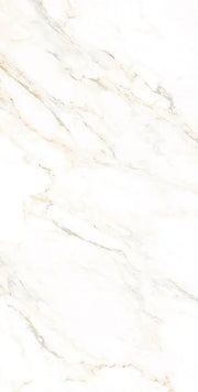 AGL Lusso Staturio 24x48 Matte Marble Look Porcelain Tile
