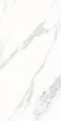AGL Statuario 12x24 Matte Marble Look Porcelain Tile