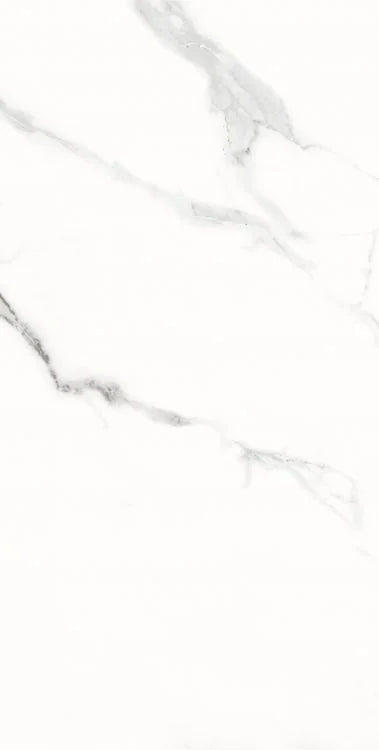 AGL Statuario 12x24 Matte Marble Look Porcelain Tile
