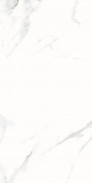 AGL Statuario 12x24 Matte Marble Look Porcelain Tile