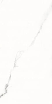 AGL Statuario 12x24 Matte Marble Look Porcelain Tile