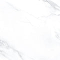 AGL Statuario 24x24 Polished Marble Look Porcelain Tile