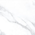 AGL Statuario 24x24 Polished Marble Look Porcelain Tile