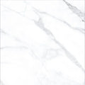 AGL Statuario 24x24 Polished Marble Look Porcelain Tile