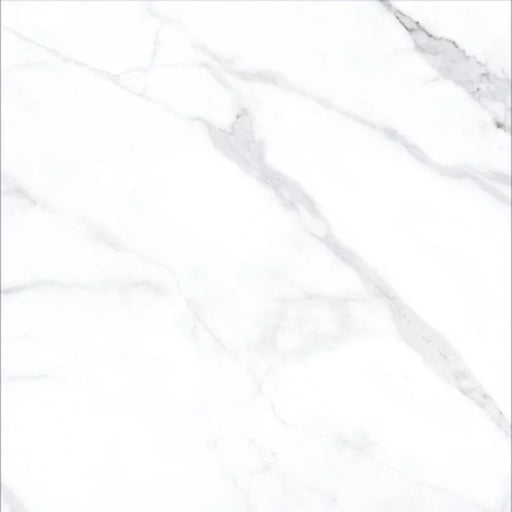 AGL Statuario 24x24 Polished Marble Look Porcelain Tile