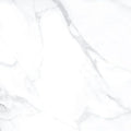 AGL Statuario 24x24 Matte Marble Look Porcelain Tile