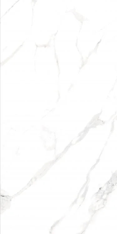 AGL Statuario 24x48 Matte Marble Look Porcelain Tile