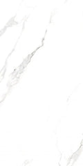 AGL Statuario 24x48 Matte Marble Look Porcelain Tile