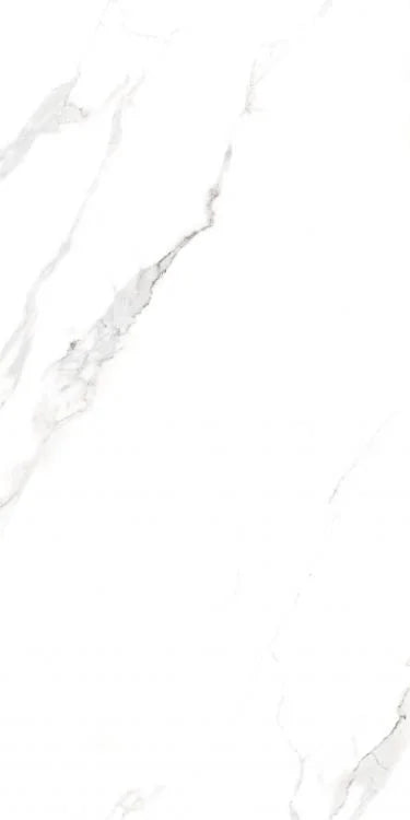 AGL Statuario 24x48 Matte Marble Look Porcelain Tile