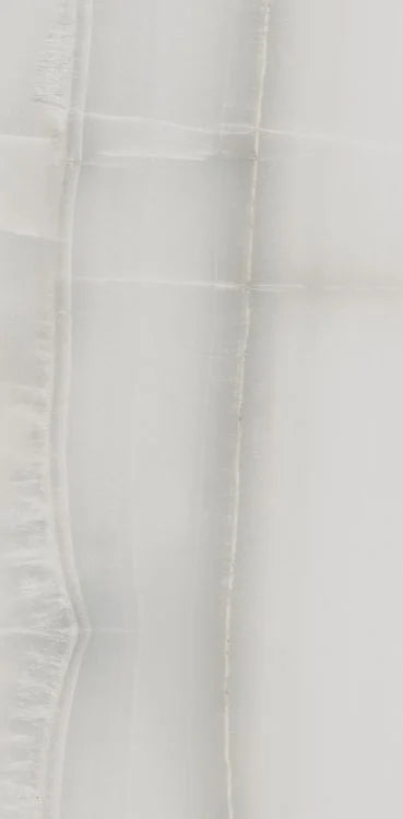 Akoya Silver 12x24 Matte Porcelain Tile