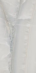 Akoya Silver 12x24 Polished Porcelain Tile