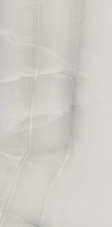 Akoya Silver 12x24 Polished Porcelain Tile