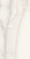 Akoya White 24x48 Polished Porcelain Tile