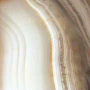 Alabastri Bamboo 32x32 Porcelain Tile