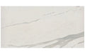 Albatros 48x96 Polished Porcelain Slab