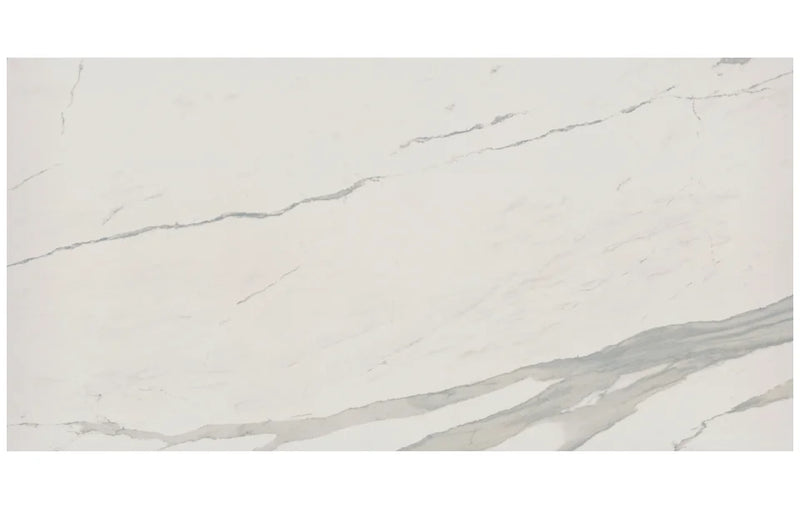 Albatros 48x96 Polished Porcelain Slab
