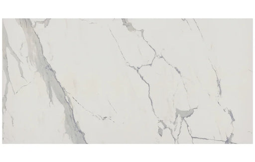 Albatros 48x96 Polished Porcelain Slab