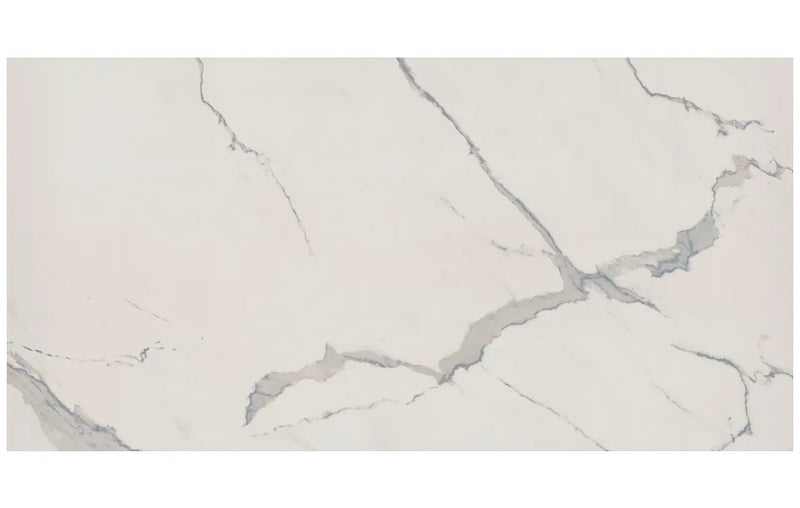 Albatros 48x96 Polished Porcelain Slab