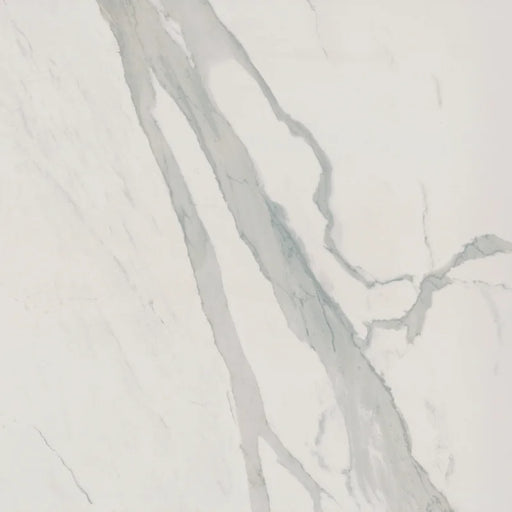 Albatros 48x96 Polished Porcelain Slab