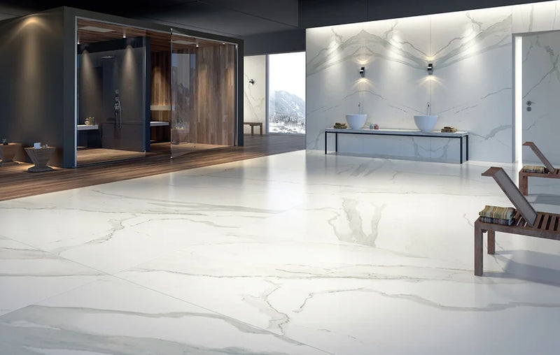 Albatros 48x96 Polished Porcelain Slab