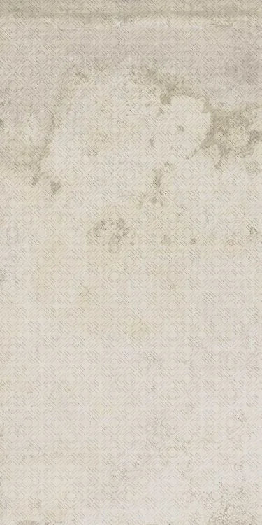 Alchimia 10 Bianco Decoro 24x48 Porcelain Tile