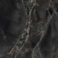 Alpha Anthracite 12x24 Polished Porcelain Tile