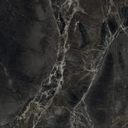 Alpha Anthracite 12x24 Polished Porcelain Tile