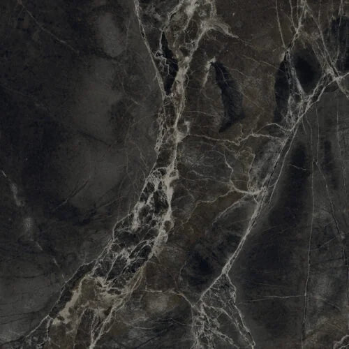 Alpha Anthracite 12x24 Polished Porcelain Tile