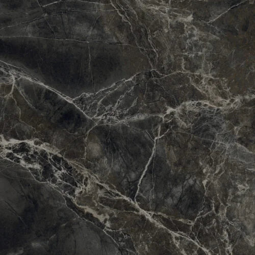 Alpha Anthracite 12x24 Polished Porcelain Tile