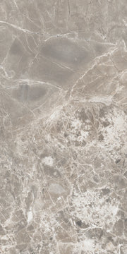 Alpha Greige 12x24 Polished Porcelain Tile