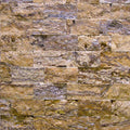 Alpine 7x19.75 Split-Face Travertine Ledger Stone