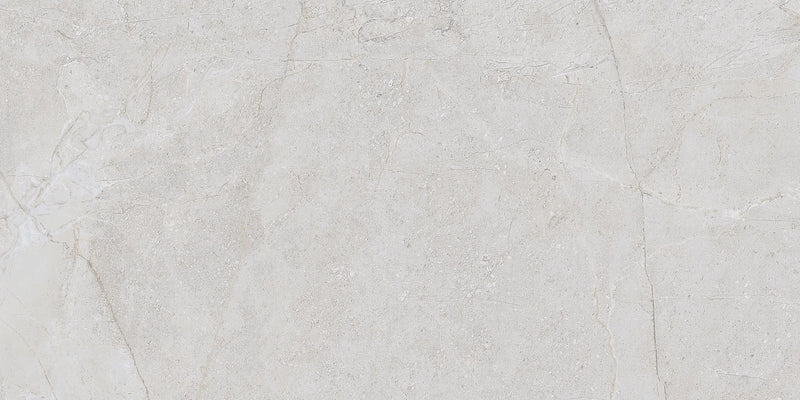 Alstein Light Gray 12x24 Porcelain Tile